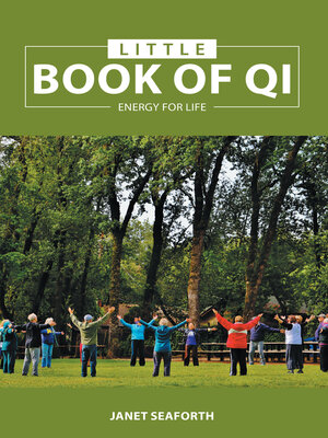 cover image of Little Book of Qi